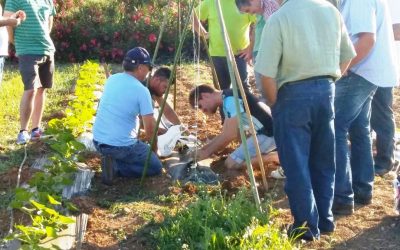 Clase práctica y clausura del curso de Agricultura Ecológica. Presente y futuro de la agricultura local.